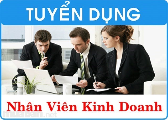 Hình ảnh cho tin tức TRÍ TUỆ VIỆT TUYỂN DỤNG NHÂN VIÊN VĂN PHÒNG